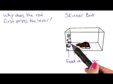 Skinner box - Сэтгэл судлалын танилцуулга