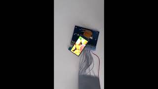 Small tft lcd 1.9 inch 170RGB x 320 Display Module