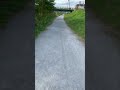 八王子市、草むらエンカウント #Shorts