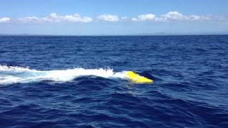 NSW Department of Primary Industries - Fisheres FAD (Fish Aggregating Device)