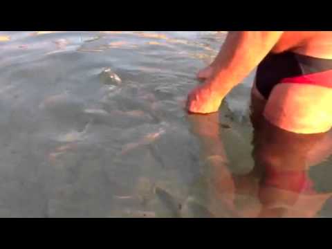 Le sac sur la pêche acheter
