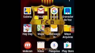 Lucas Branco Da Silva