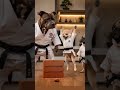 #kungfu #Kung fu 🔥😂 dogs 🐶 #shorts #funny #anime #comedy #dogs