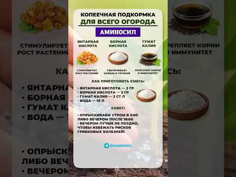 ЛУЧШАЯ подкормка для всего огорода! #подкормка #огород #рассада