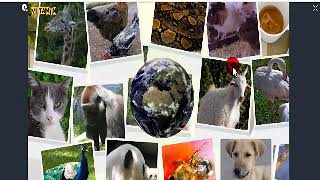 Eba Ders Fen Bilimleri