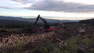 hitachi 210 forester logmax 7000 xt