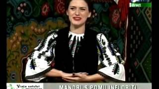 PAULA MEDREA  Bate Vantu Iedera