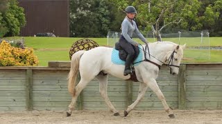 Ceko flat schooling