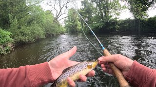 Swinging spiders for wild brown trout