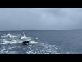 5 - WET SEASON WOES / Live coral trout fishing the GBR!