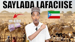 Saylada Lafaciise | Halka 1-Million Birr Lagu Kala Iibsado Geelka! 😱🐪