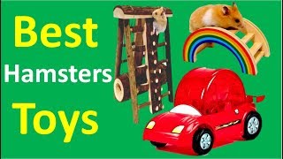 Top 5 Hamster Toys Best Hamsters Toys 2018