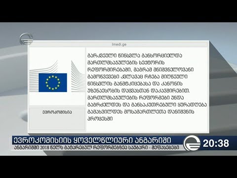 ევროკომისიის ყოველწლიური ანგარიში