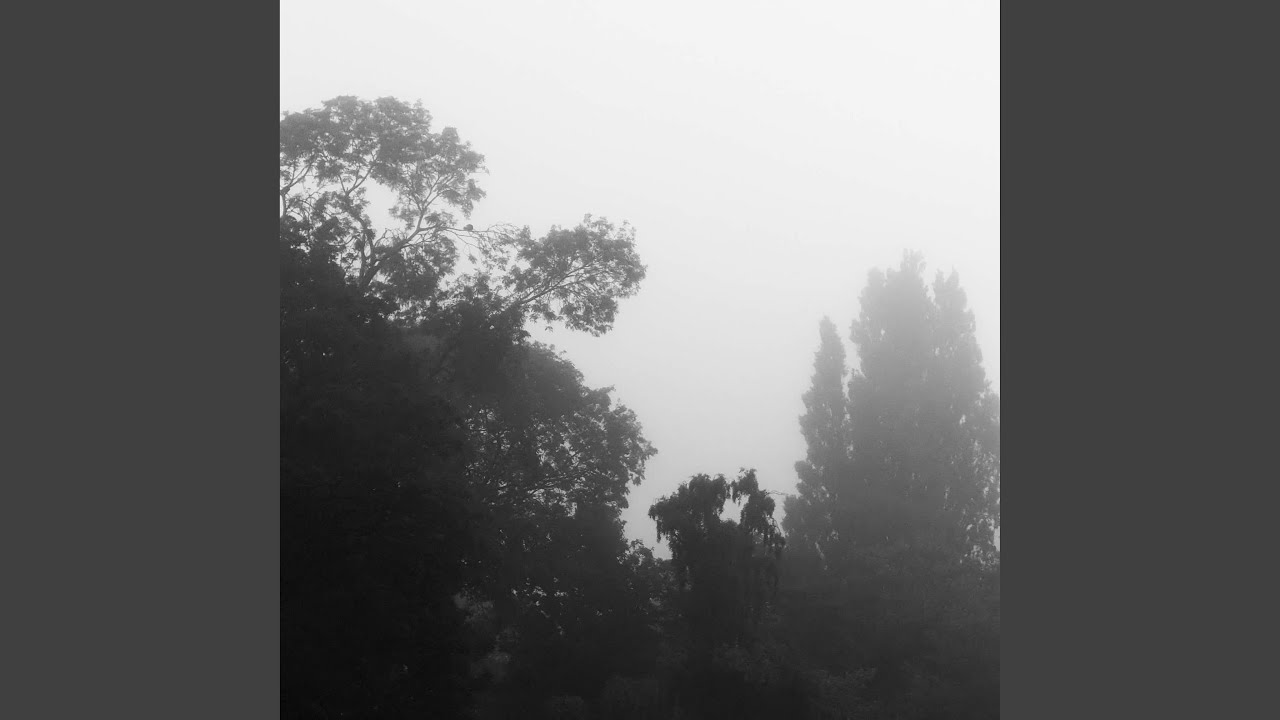 Guarda TREETOPS su YouTube Guarda TREETOPS su YouTube