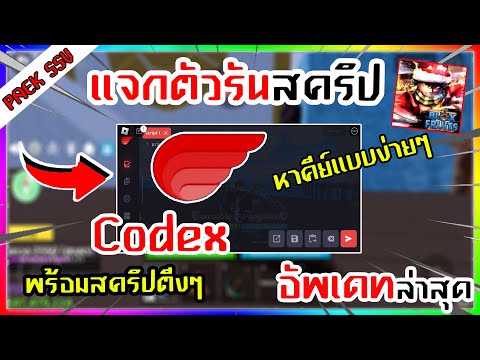 ✅ แจกตัวรันสคริป Codex มือถือล่าสุด พร้อมสคริปฟาร์มเร็วๆ! (ไม่มีคีย์) อัพเดทใหม่ล่าสุด🔥