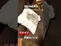 #shorts 6 悲しみを越えて願いいの先に完全復ッ活ッ！！