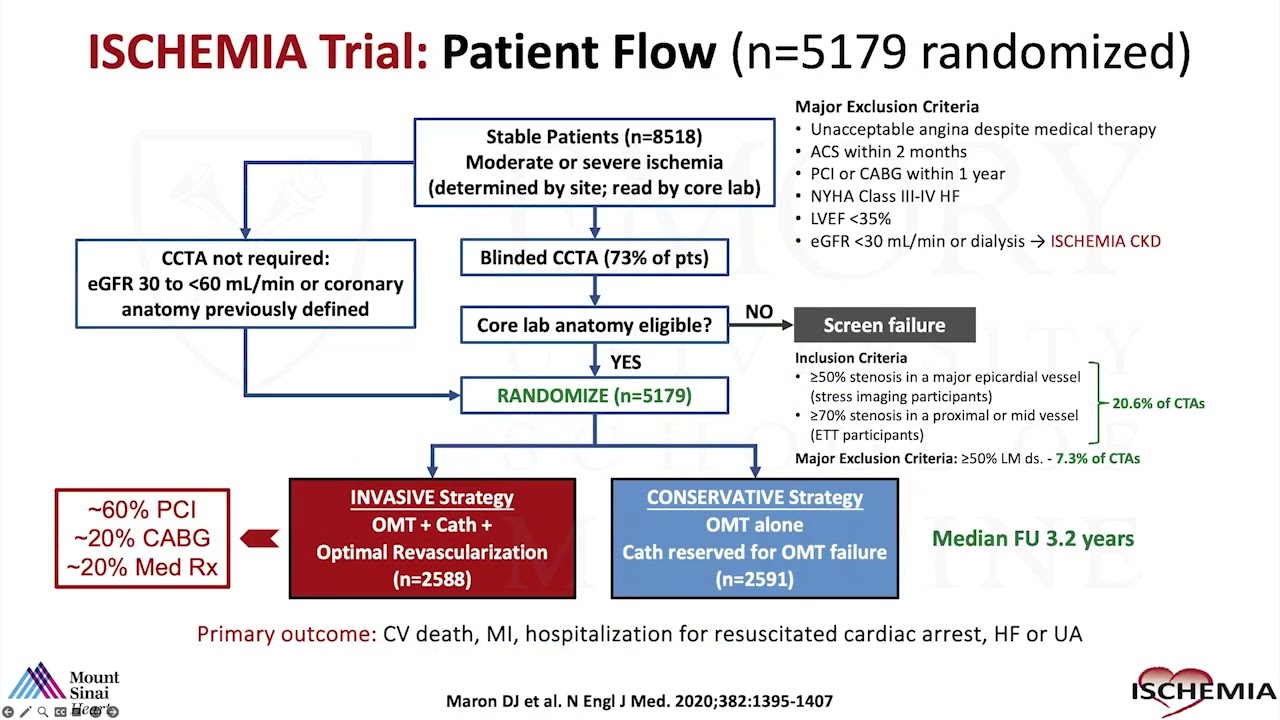 Who Are Appropriate Patients for Revascularization in the Post-ISCHEMIA Era?