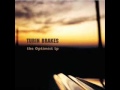 Capture de la vidéo Turin Brakes-Feeling Oblivion With Lyrics