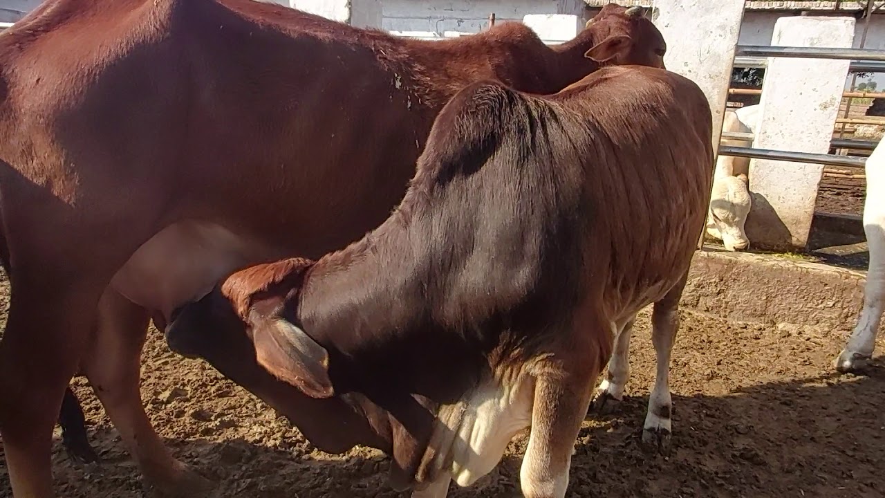 2دسمبر نظارے بڑے پیارے