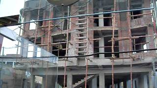 SDC10163