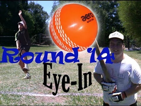 Backyard Cricket: Round 14 - YouTube