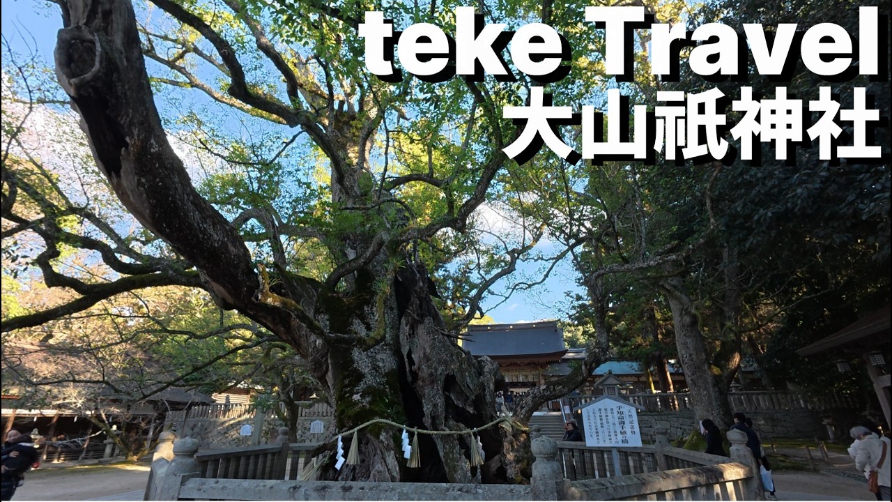 【参拝】大山祇神社/愛媛県今治市 樹齢は2600年の御神木の生命力に圧巻