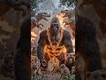 #Gorilla attack monkey#gorilla