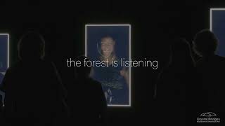 Listening Forest by Rafael Lozano-Hemmer