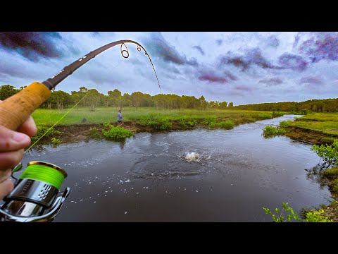 Not Catching Until I Eat a BARRA….