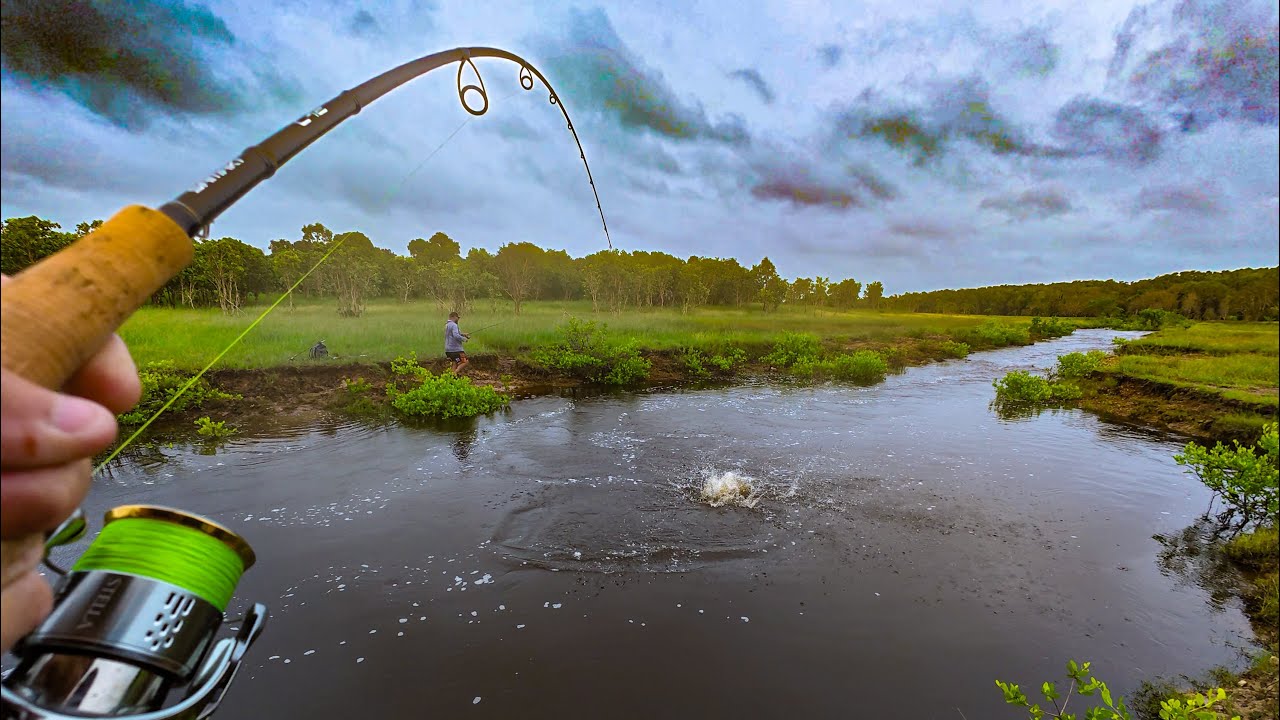 Не поймаю, пока не съем баррамунди