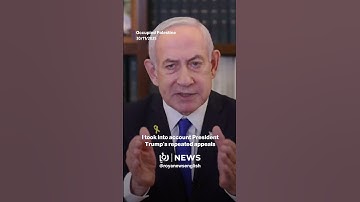 Netanyahu submits formal pardon request to Herzog