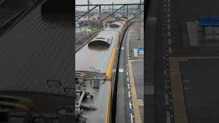 迫力の特急駅通過！ #電車 #jr四国 #train #こども #しおかぜ #japan #アンパンマン列車