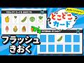【視覚記憶力＆集中力UP】カードの場所を覚えて当てよう！『どこどこカード』＜フラッシュ記憶＞No.012｜4〜5歳児向け
