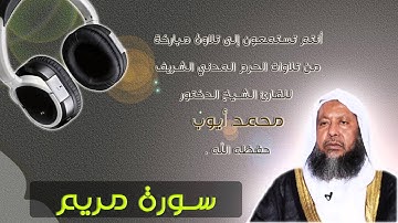 الشيخ محمد أيوب | تلاوة من الحرم | سورة مريم