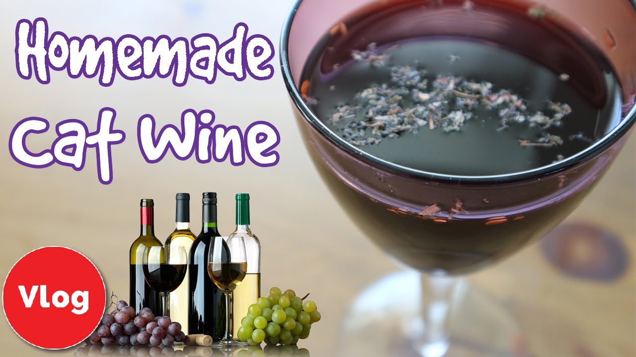 How To Make Cat Wine! Easy Recipe For Homemade Cat Wine! Make Your Own Purrrlot!