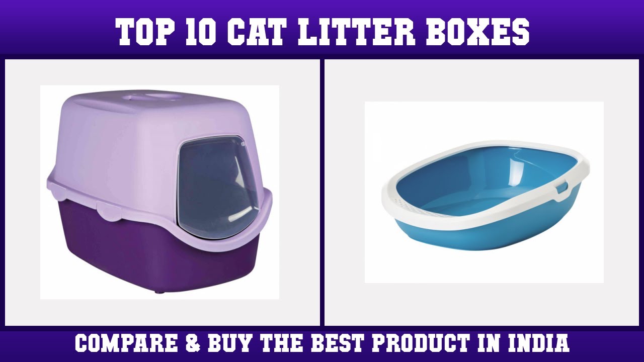 Top 10 Cat Litter Boxes to buy in India 2021 Price & Review YouTube
