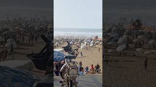 شاهد ماذا حدث في شاطئ عين..?? maroc marocaine المغرب الرجاء istanbul turkey تركيا tata