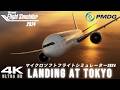 【MSFS2024】リアルな東京都心を一望✈羽田へ着陸 - Air France - PMDG 777 - RTX5070ti 4K【Microsoft Flight Simulator 2024 】