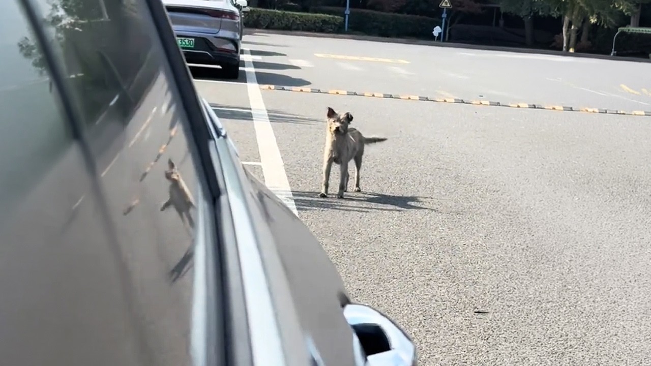 Я решила — завтра ты поедешь домой со мной