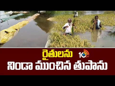 Cyclone Montha Effect: రైతులను నిండా ముంచిన తుఫాన్ | Massive Crop Damage | 10TV News - 10TVNEWSTELUGU