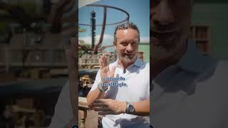 Movieland - The Next Cut