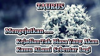 👣TAURUS👣Mengejutkan ...Kejadian Tak Biasa Yang akan Kamu aLami Sebentar Lagi ‼️