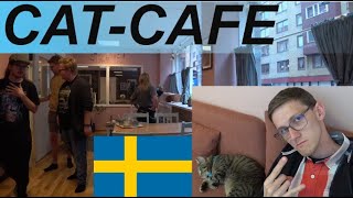 Visiting a Cat Cafe in Gothenburg