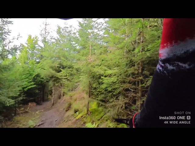 MTB Zone Willingen Enduro Trail_2