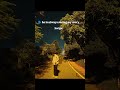I'm always 👀.........#viralvideo #like #shorts #shorts #viralshorts #share #comment
