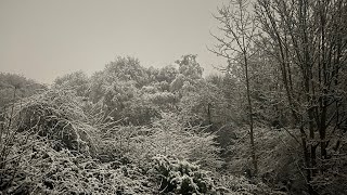 Walking in a Winter Wonderland ( IN SHORTS )