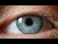 Understanding the Evolution of Cameras and Eyes