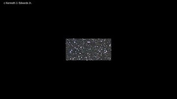 Nova Delphini 2013 First Light