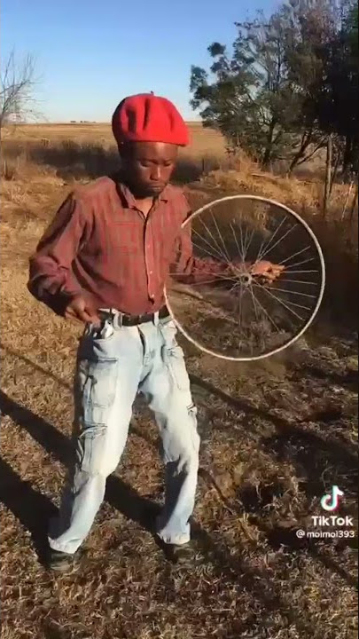 Peacock Dan Tshanda