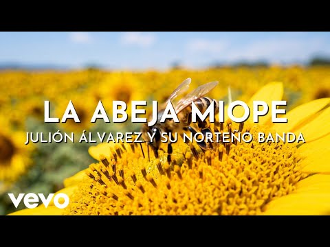 Julión Álvarez Y Su Norteño Banda - La Abeja Miope (Cumbia)